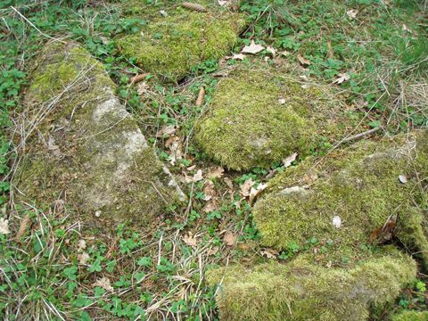 Foto 38